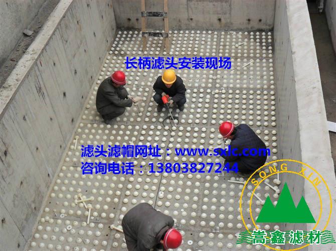 �V�^���b�F��